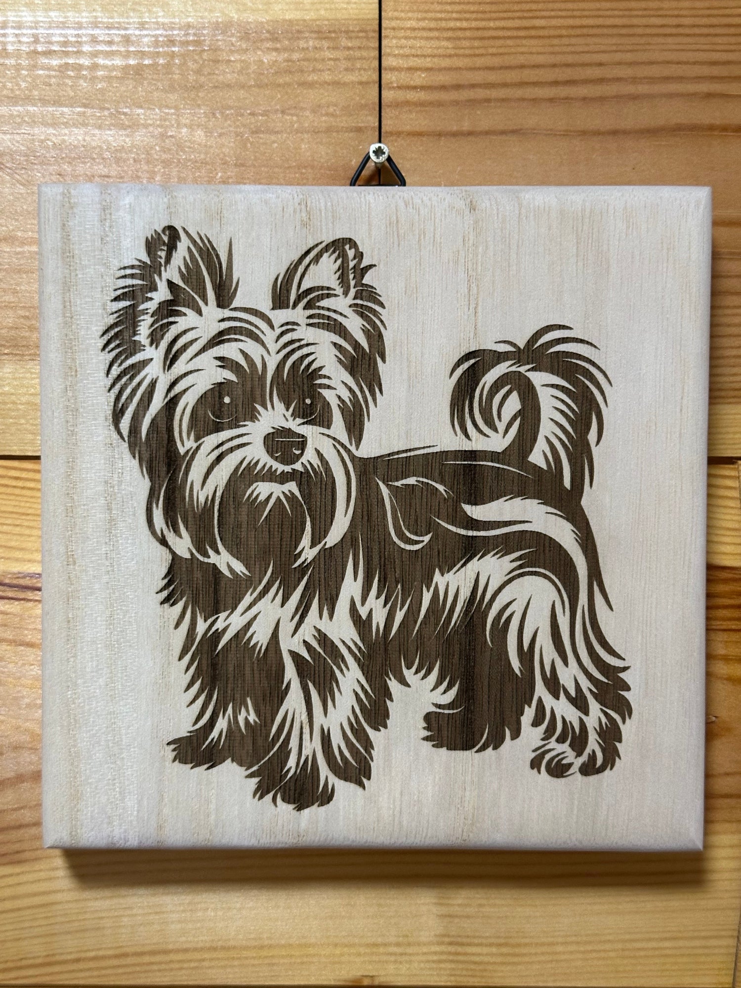Yorkie kutyusok
