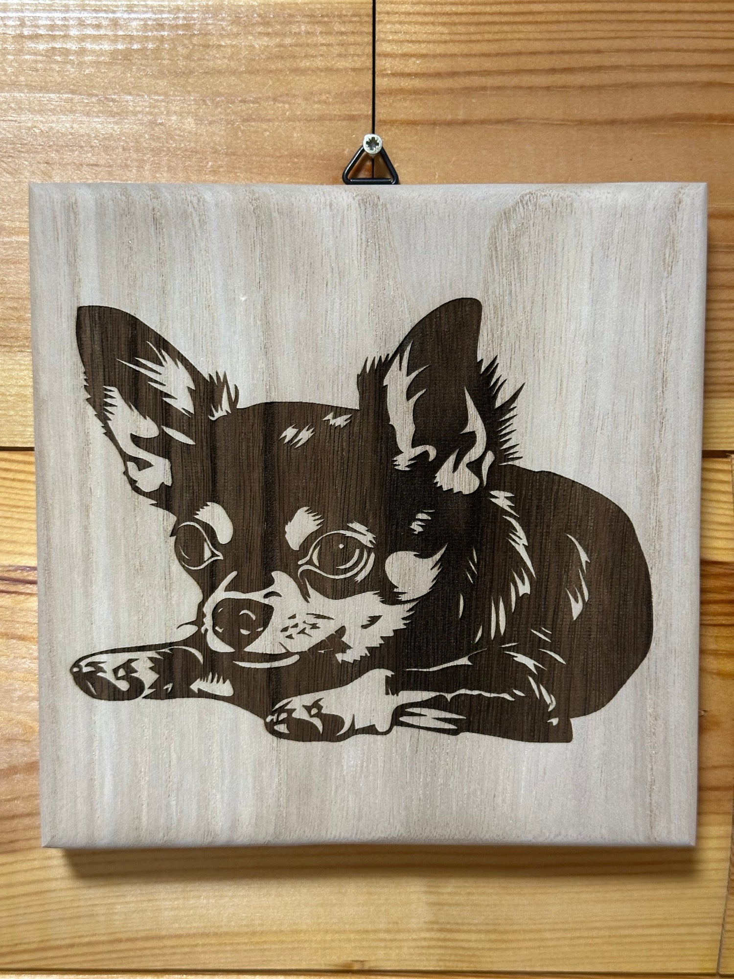 Chihuahua