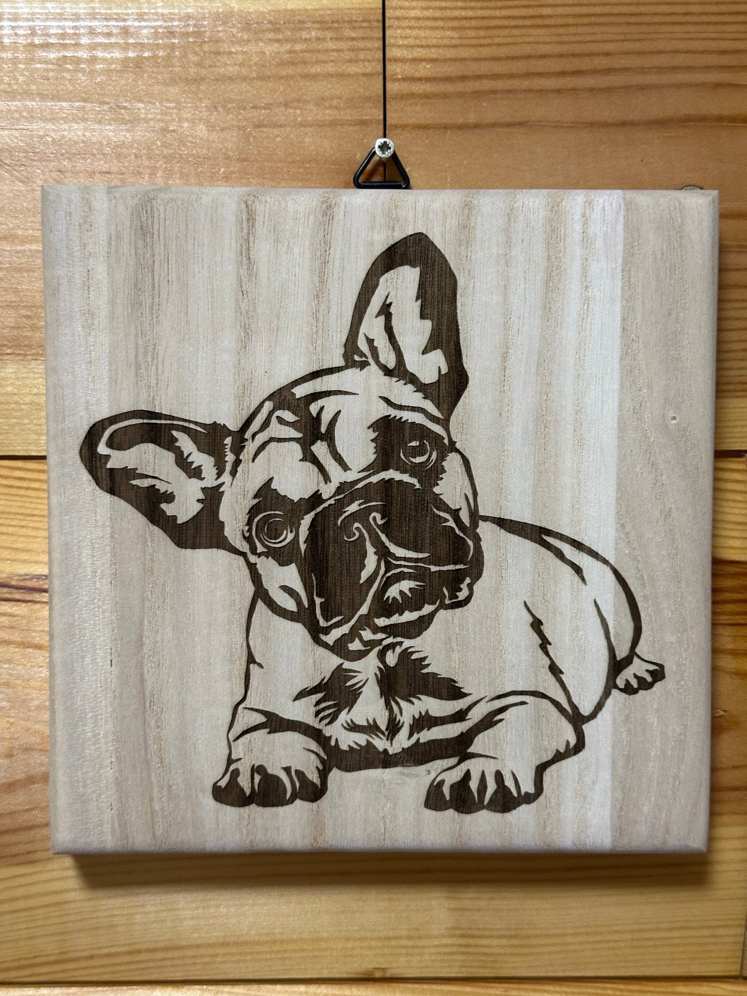 Frenchie