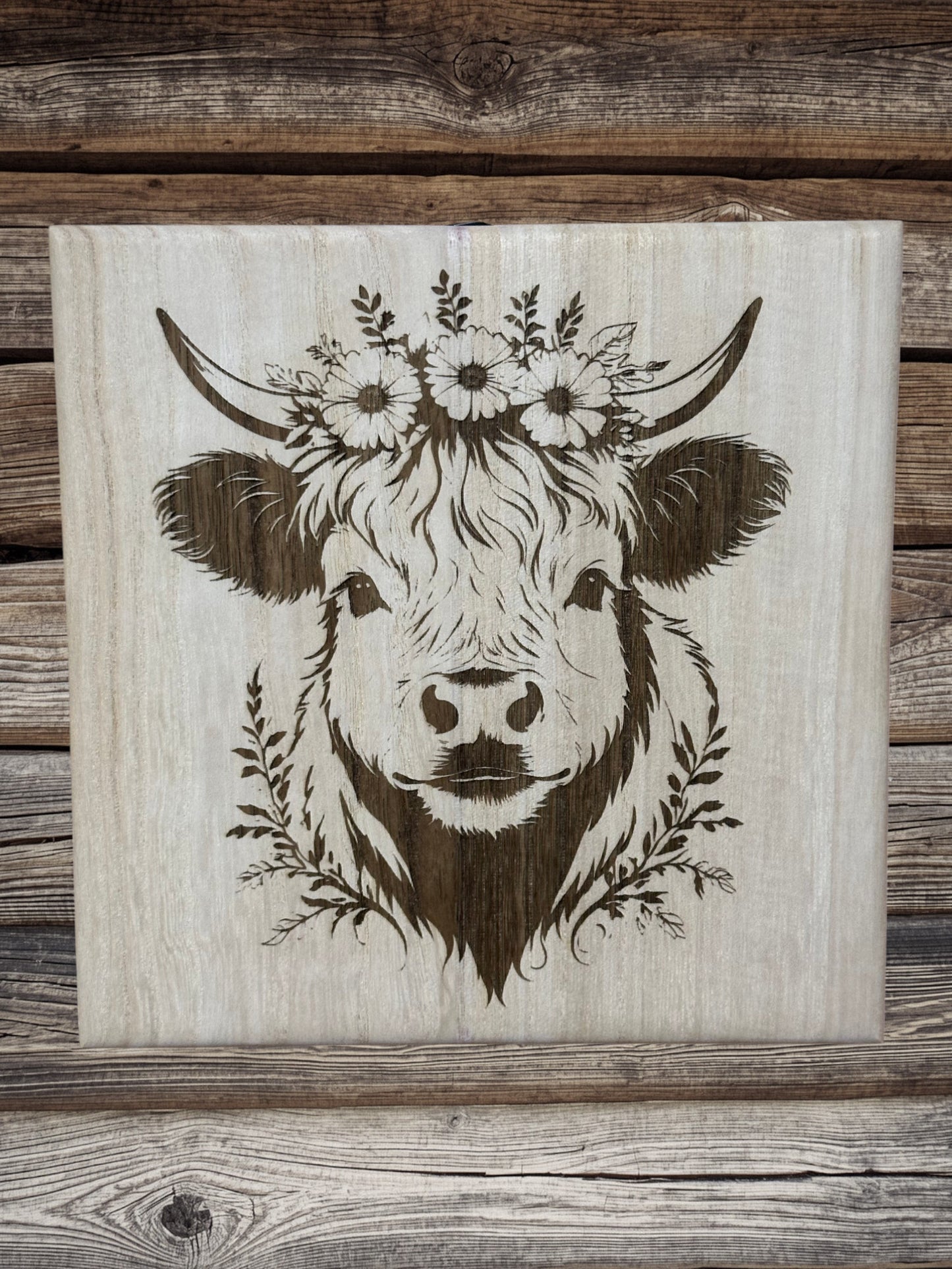Scottish Highland cattle