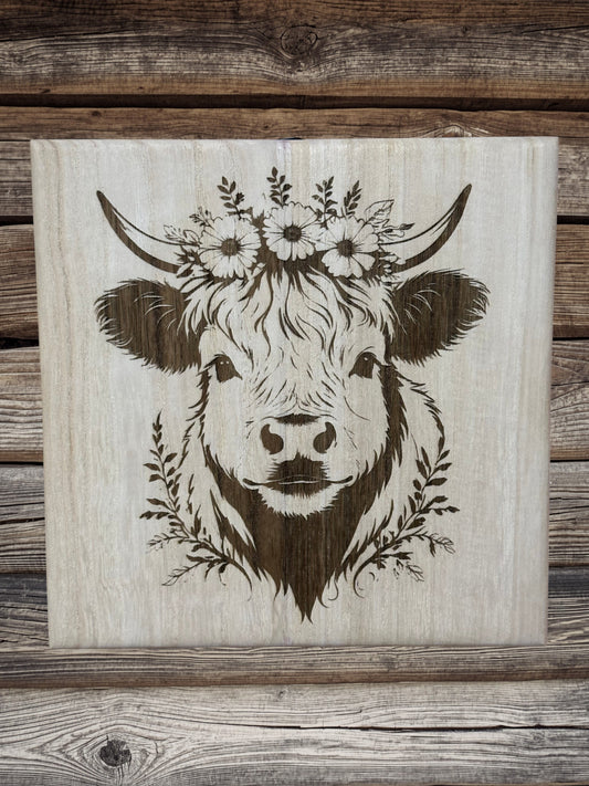Scottish Highland cattle