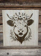 Scottish Highland cattle