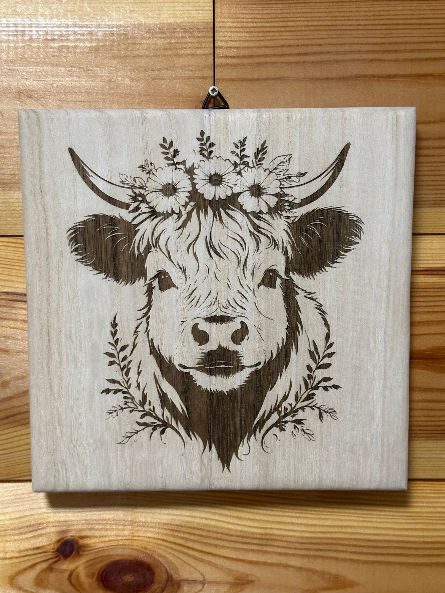 Scottish Highland cattle