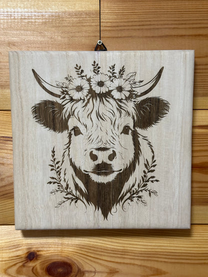Scottish Highland cattle