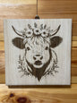 Scottish Highland cattle