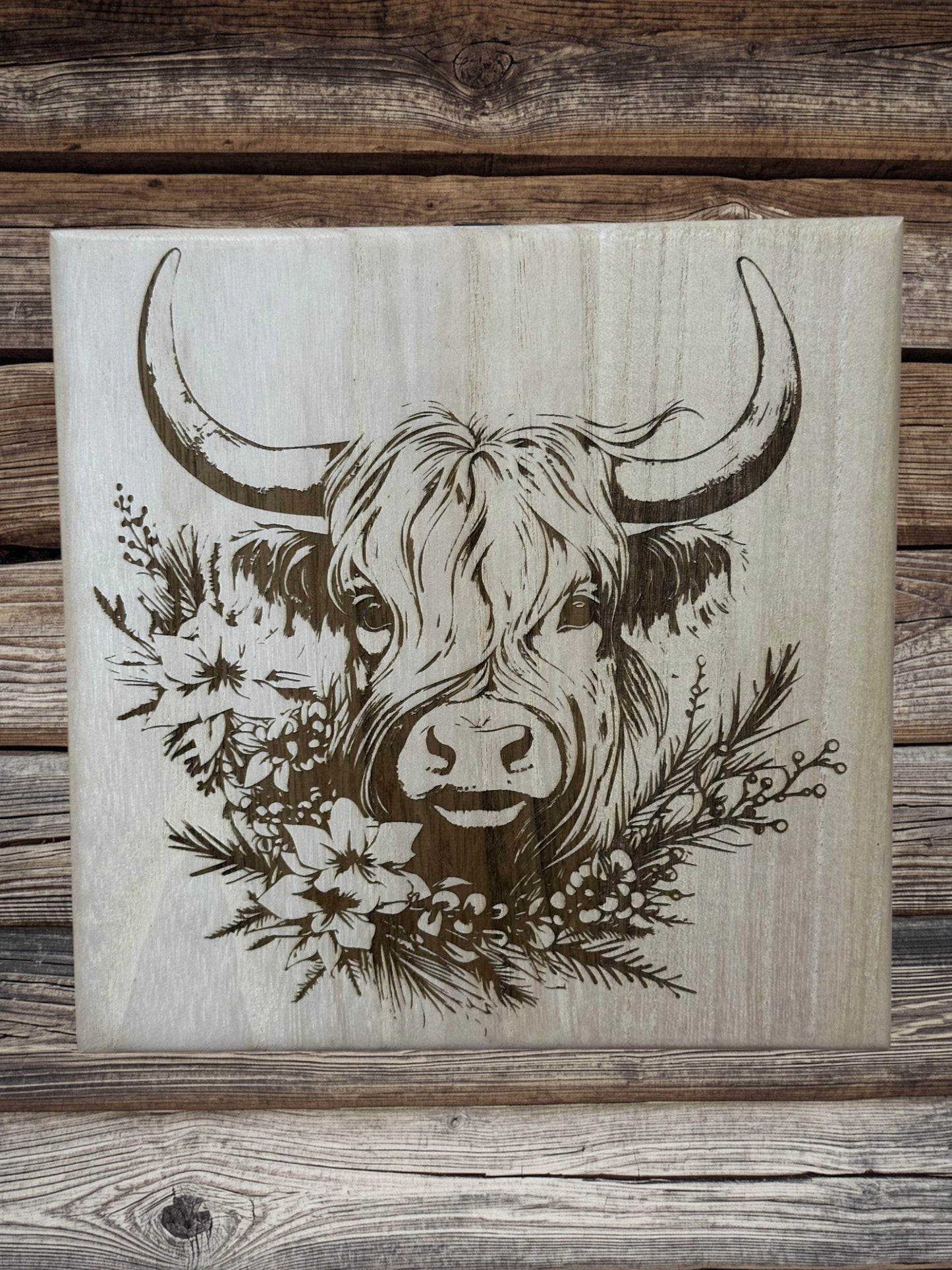 Scottish Highland cattle