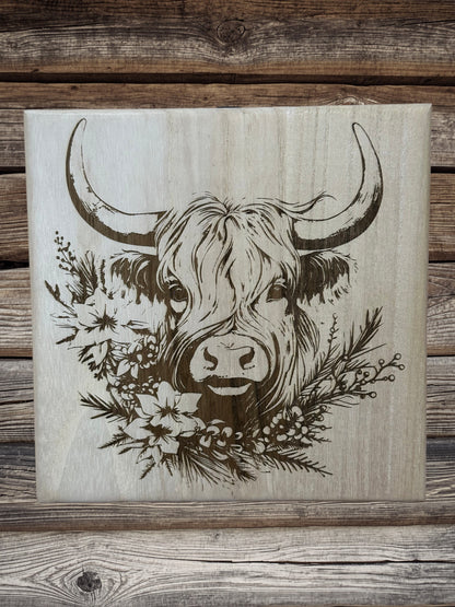 Scottish Highland cattle