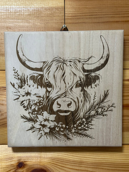 Scottish Highland cattle