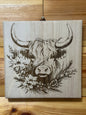 Scottish Highland cattle