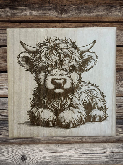 Scottish Highland cattle