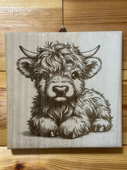 Scottish Highland cattle