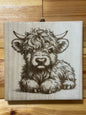 Scottish Highland cattle
