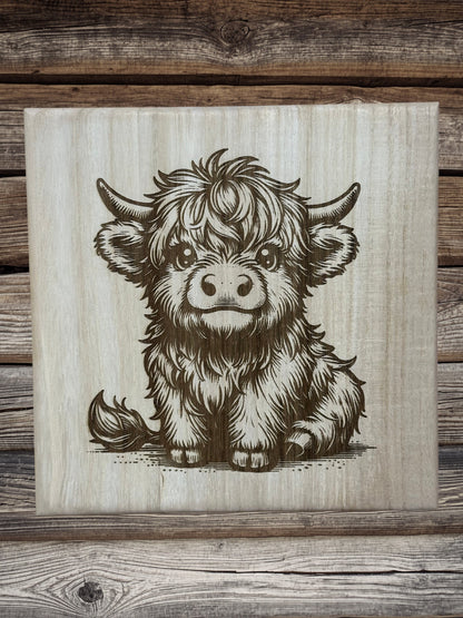 Scottish Highland cattle