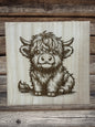 Scottish Highland cattle