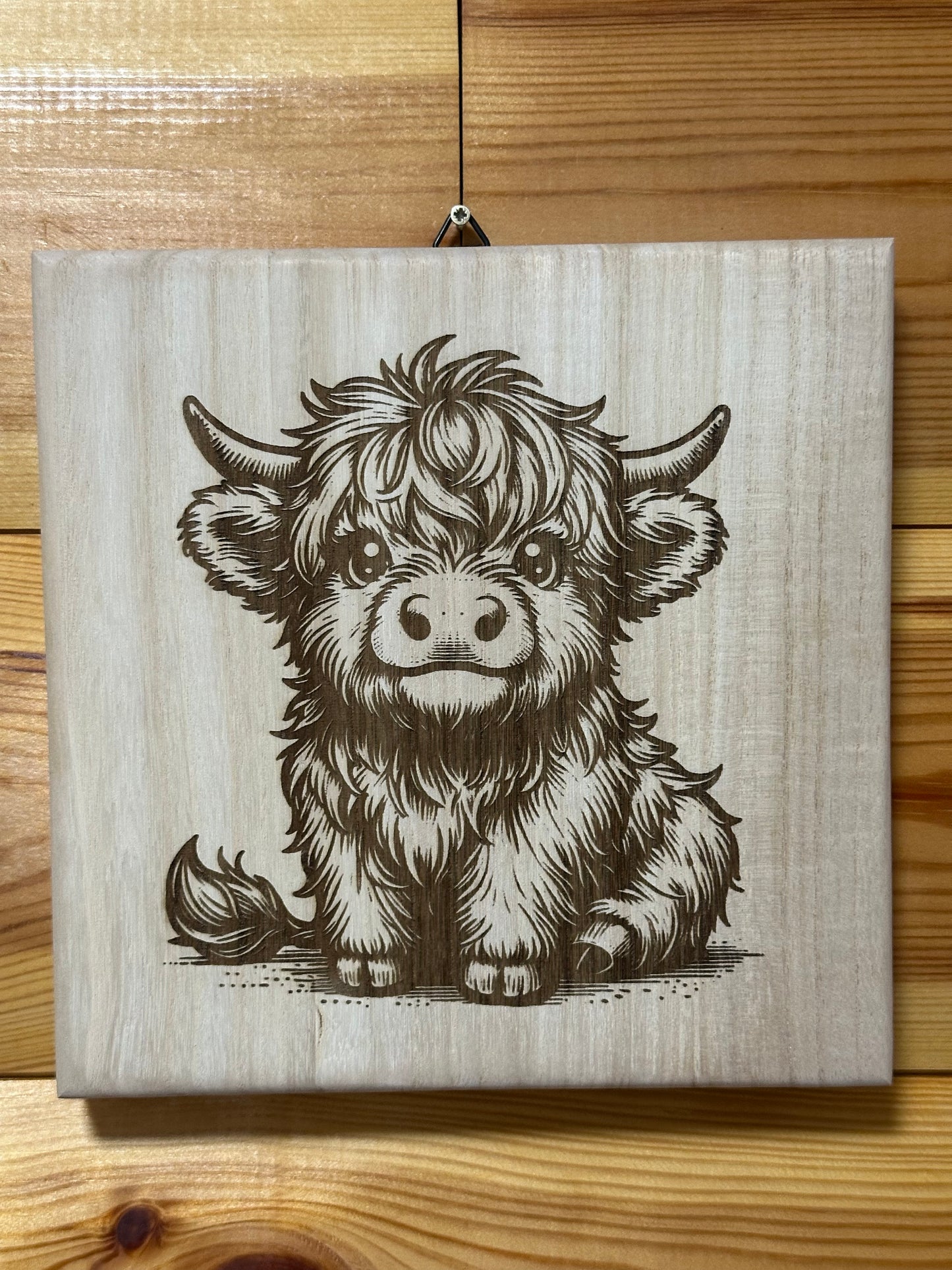 Scottish Highland cattle