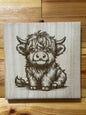 Scottish Highland cattle