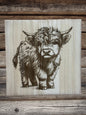 Scottish Highland cattle