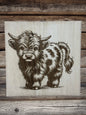 Scottish Highland cattle
