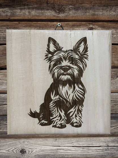Cute Yorkie puppies