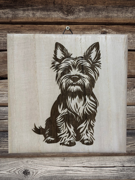 Cute Yorkie puppies