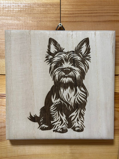 Cuki Yorkie kutyusok