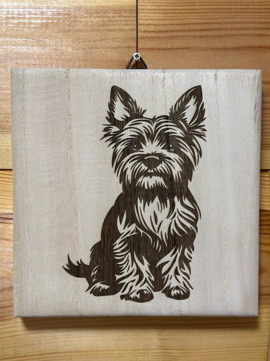Cuki Yorkie kutyusok