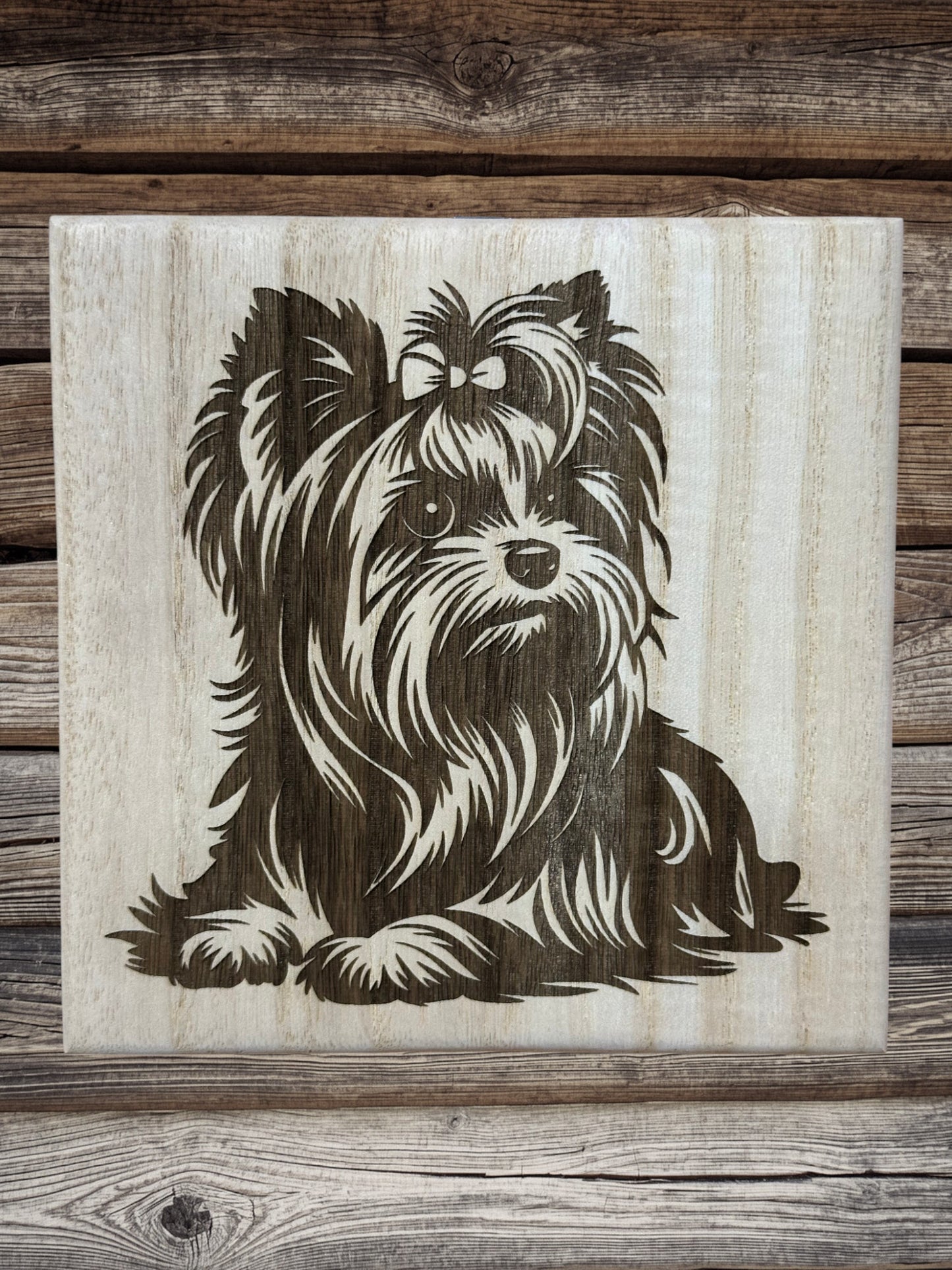 Cute Yorkie puppies