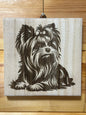 Cuki Yorkie kutyusok