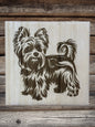 Cute Yorkie puppies