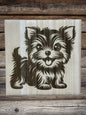 Cute Yorkie puppies