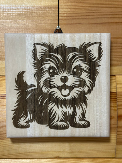 Cuki Yorkie kutyusok