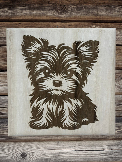 Cute Yorkie puppies