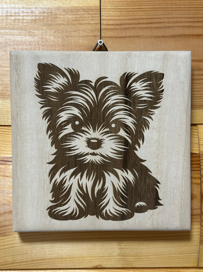 Cuki Yorkie kutyusok
