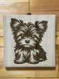 Cuki Yorkie kutyusok