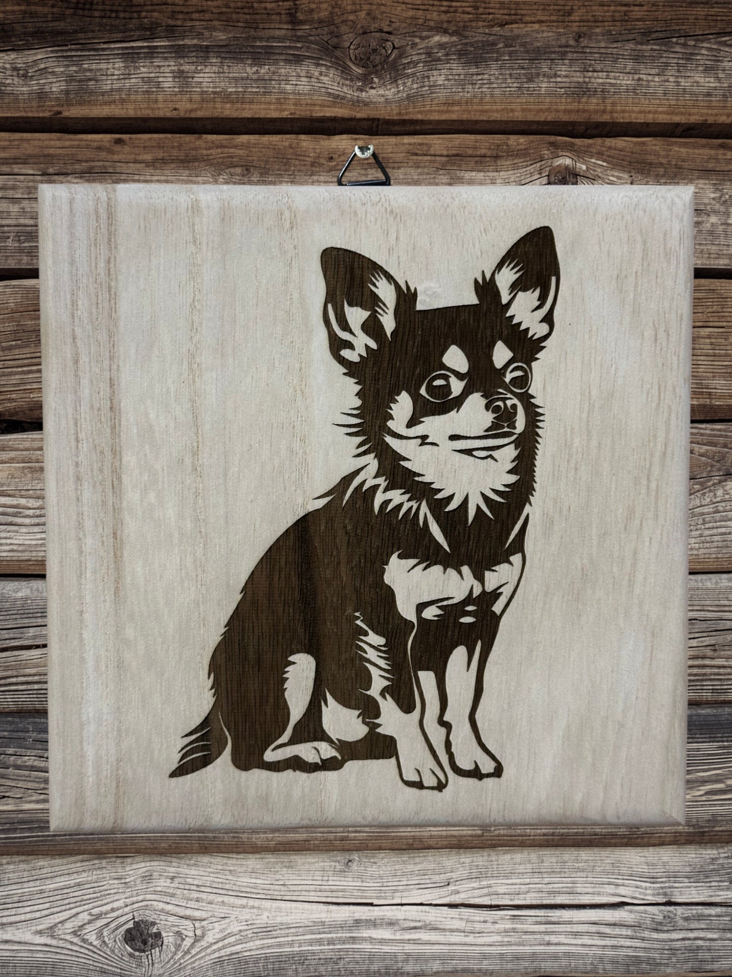 Chihuahua kutyusok
