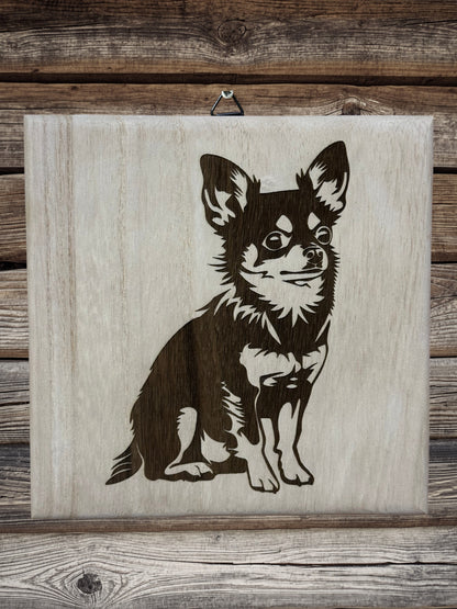 Chihuahua kutyusok