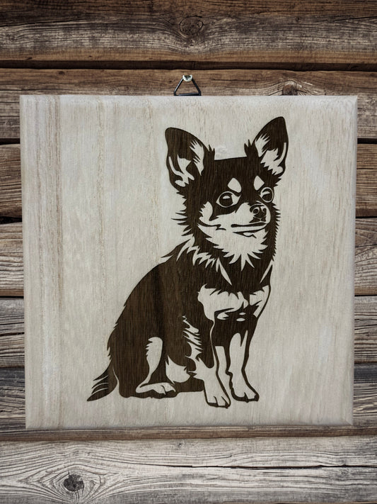 Chihuahua puppies