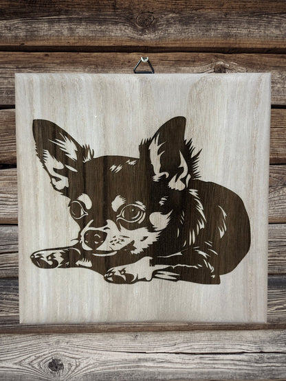 Chihuahua kutyusok