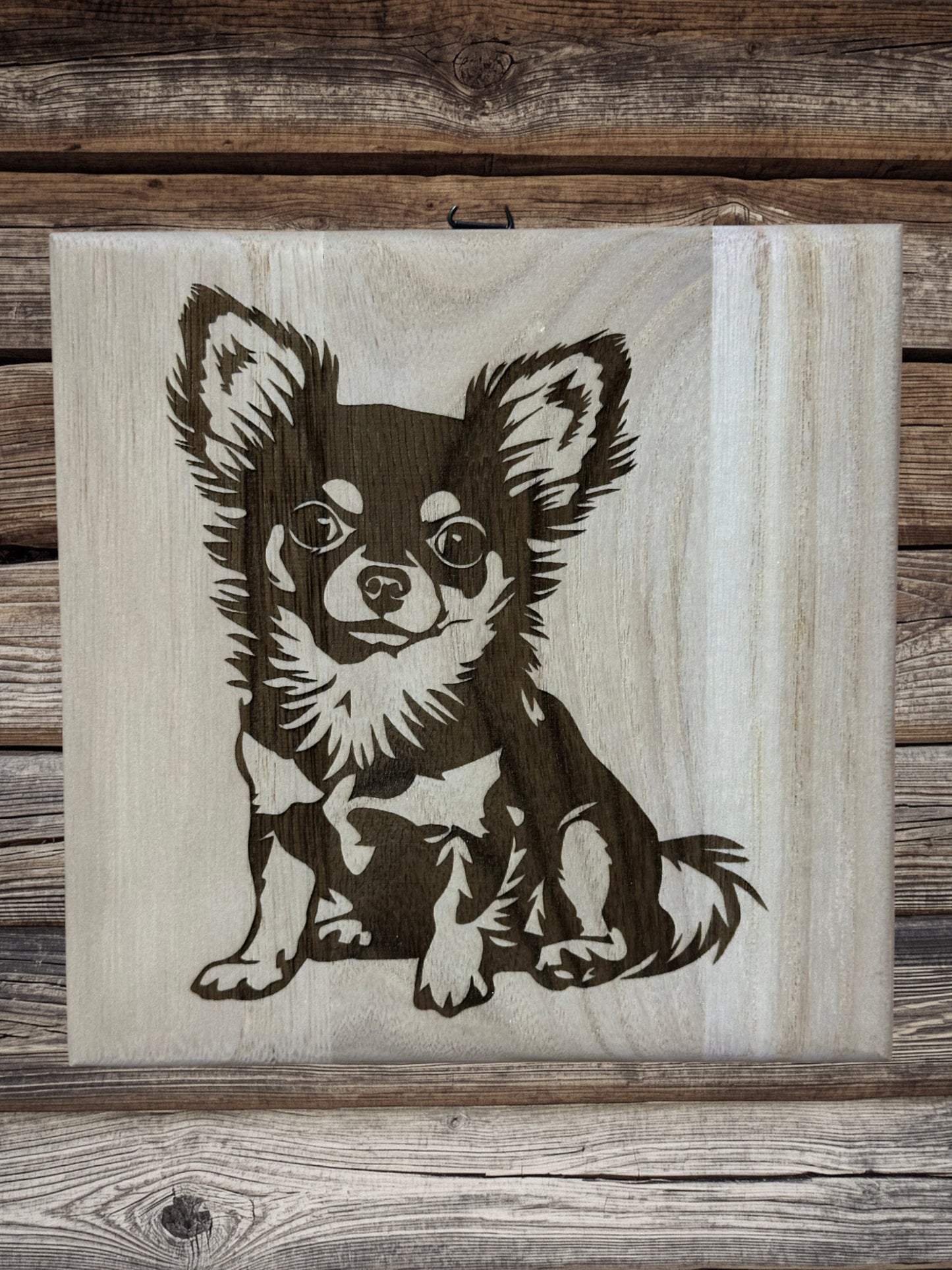 Chihuahua kutyusok
