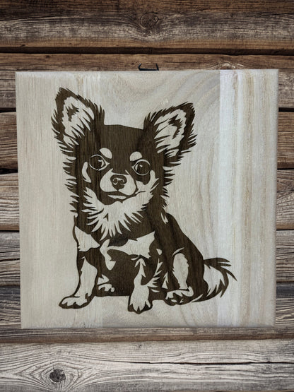 Chihuahua kutyusok