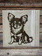 Chihuahua kutyusok
