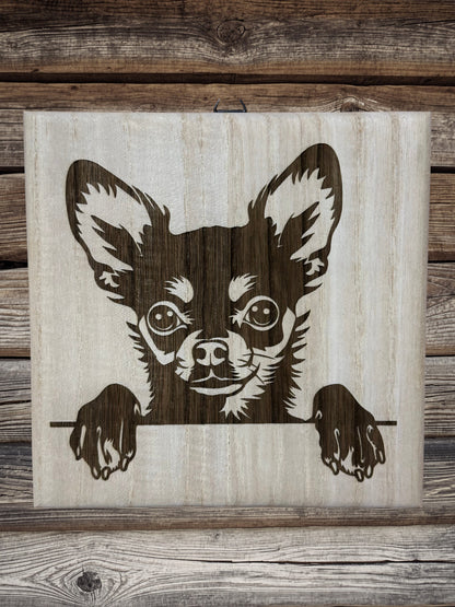 Chihuahua kutyusok