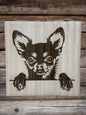 Chihuahua kutyusok