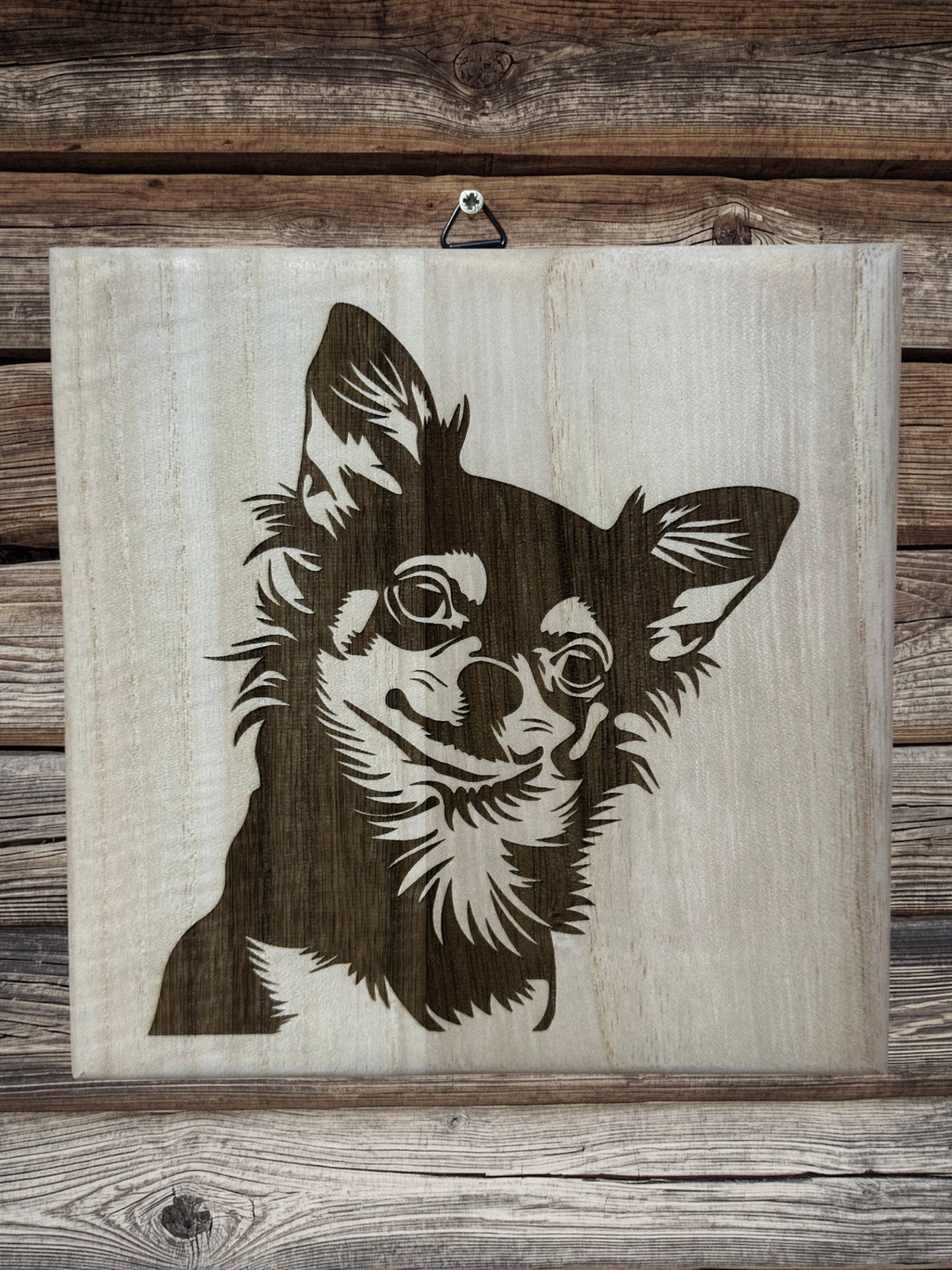 Chihuahua kutyusok