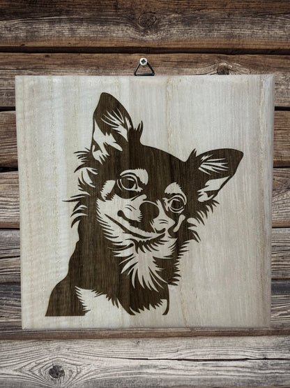 Chihuahua kutyusok