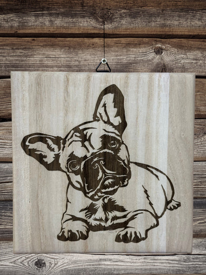 Frenchie puppies