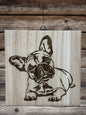 Frenchie puppies