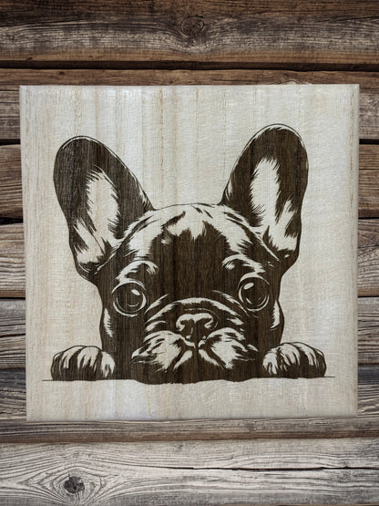 Frenchie puppies