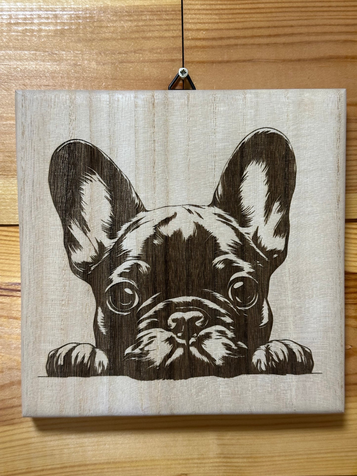Frenchie puppies