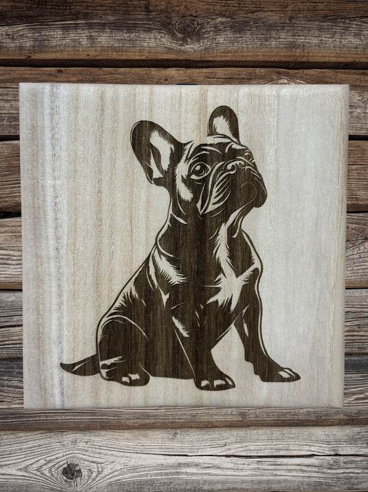 Frenchie puppies